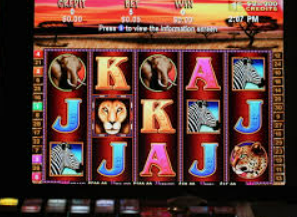 天庭娱乐3621官网版手机版